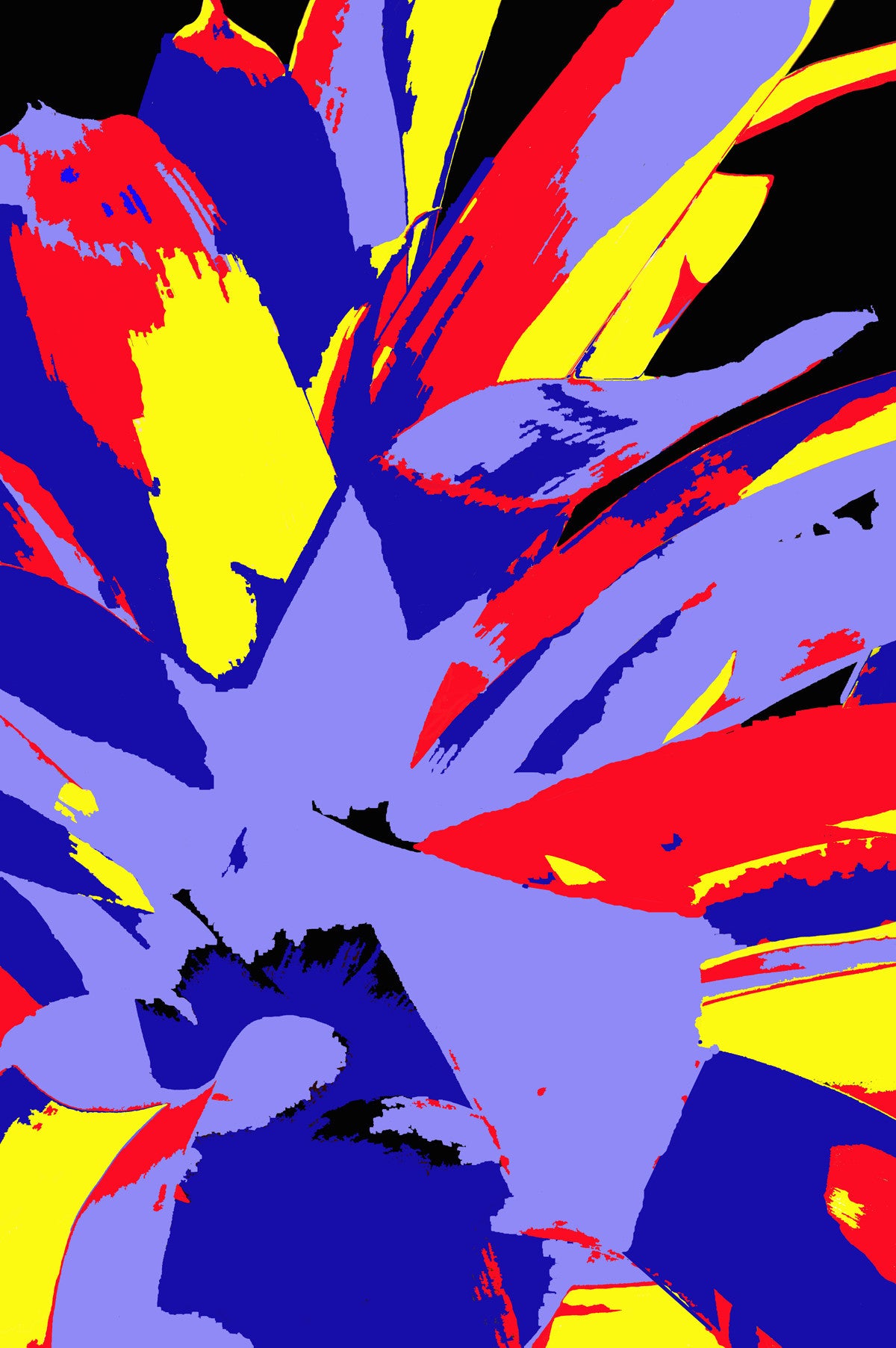 Color Study #384B