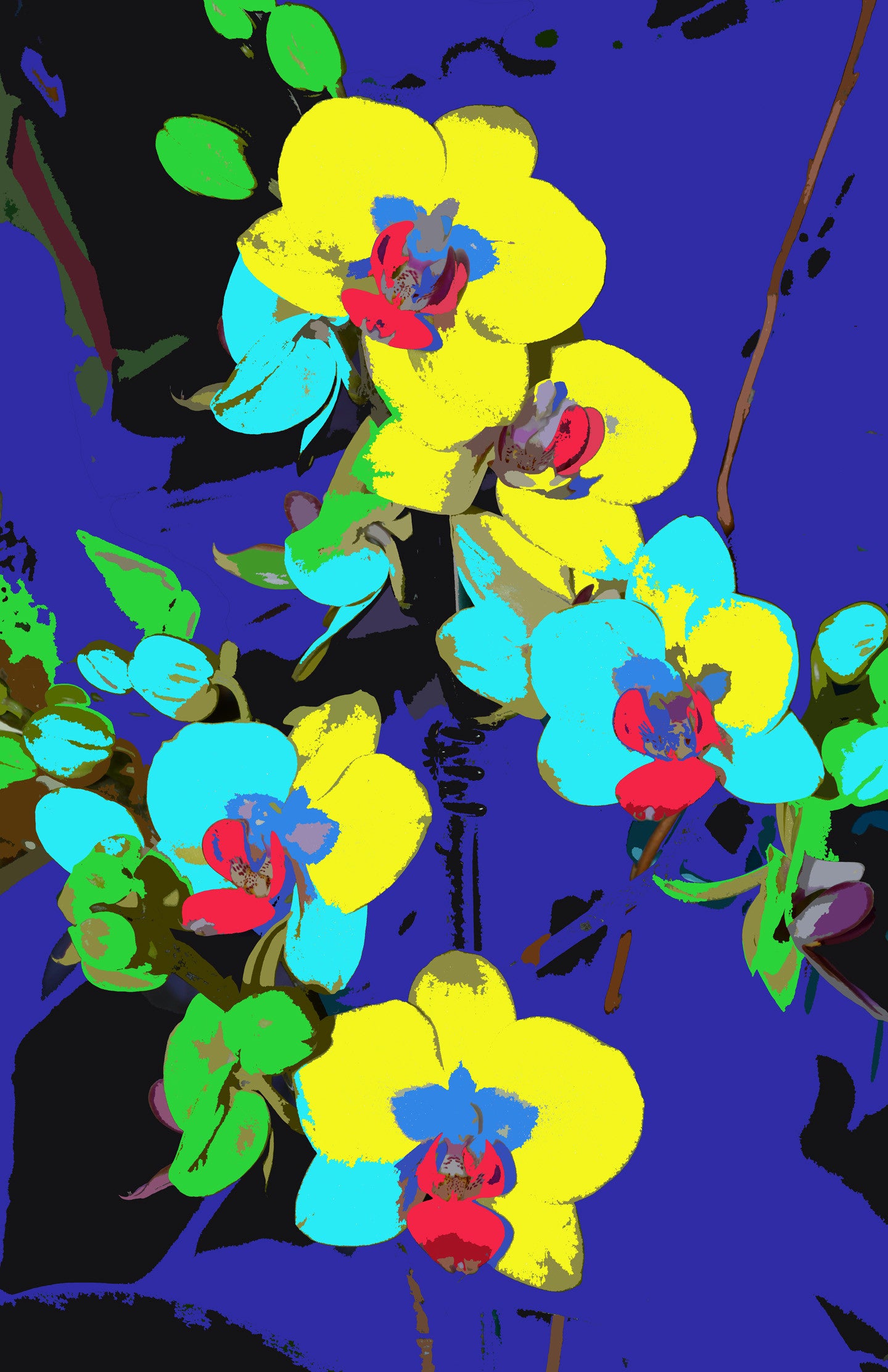 Orchids 707
