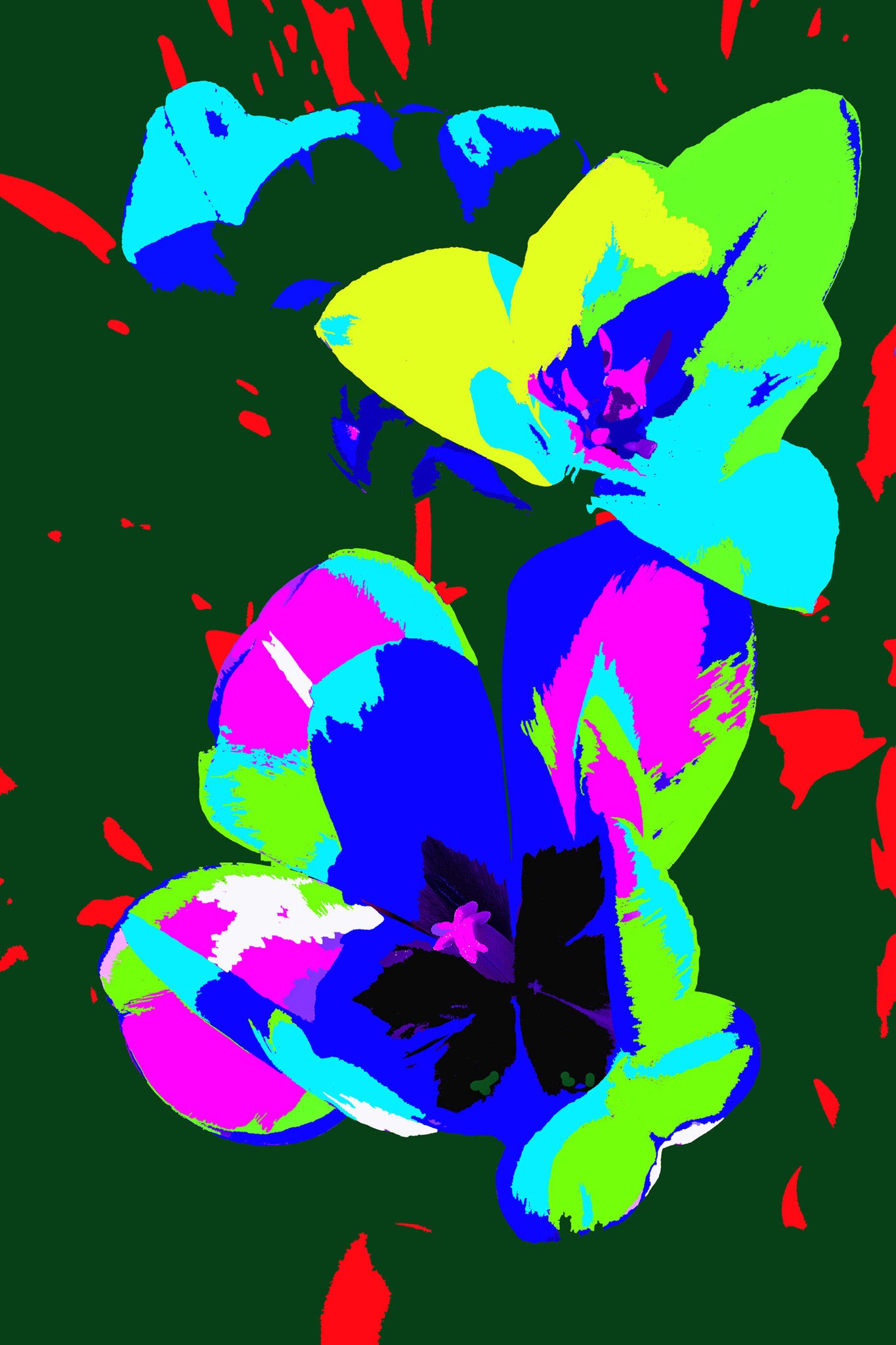 Tulip Variation #805E