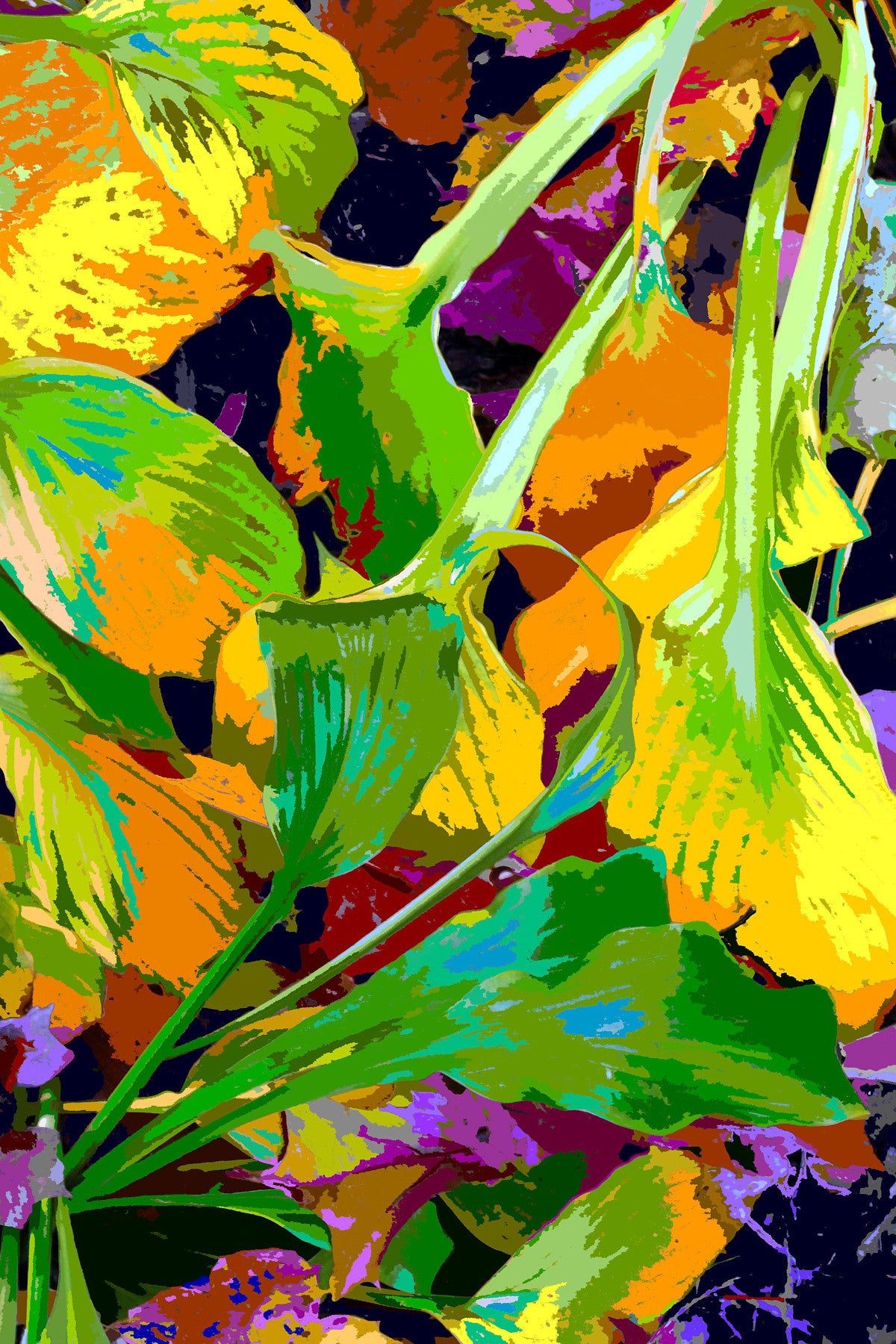 Leaves 111305