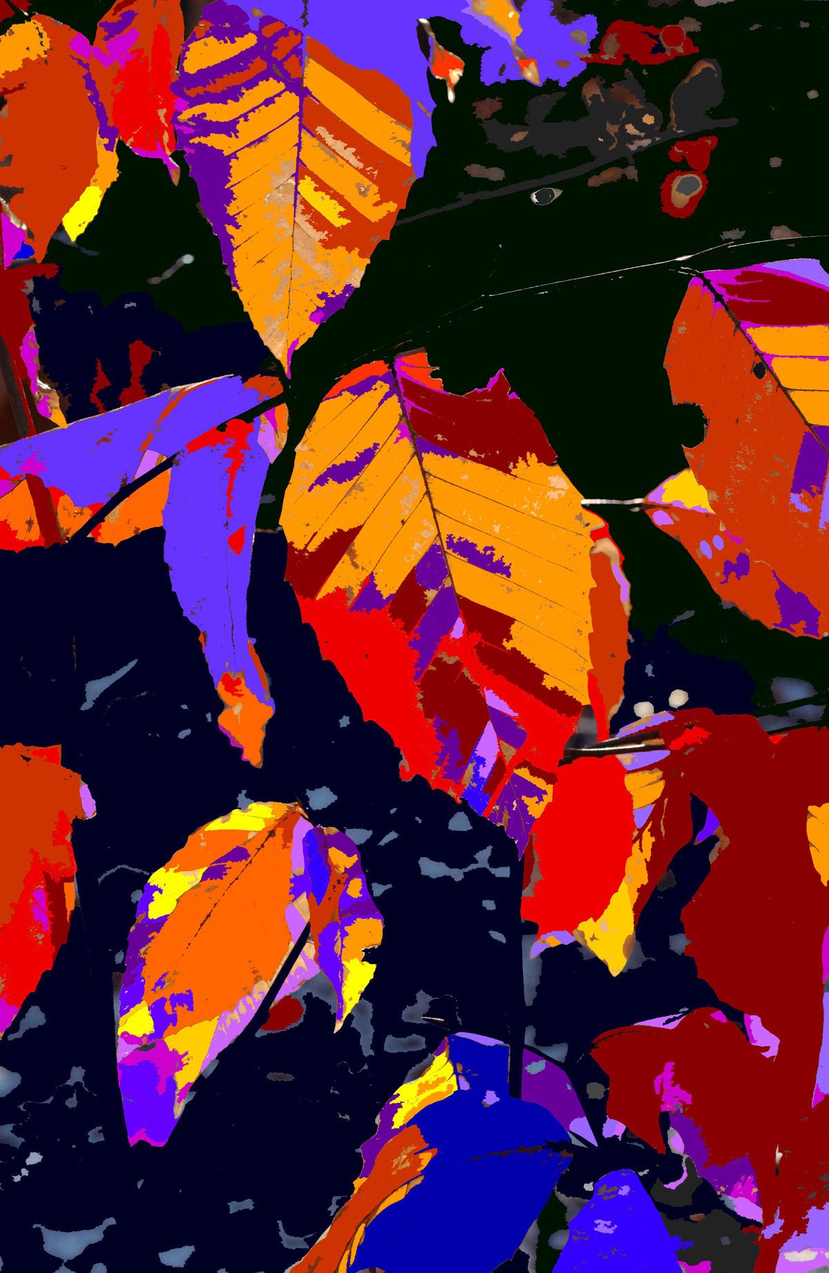 Leaves #2