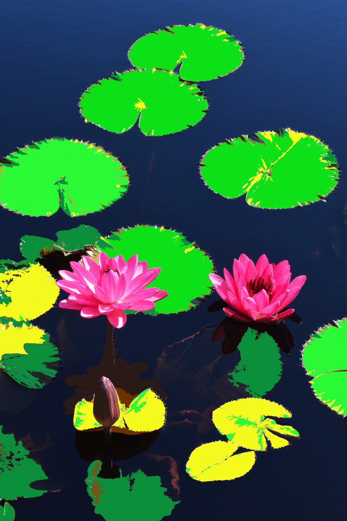 Water Lilies #615